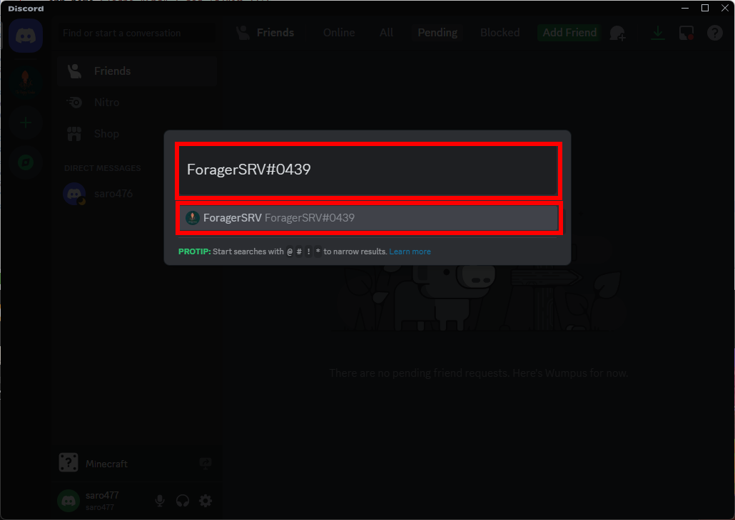 4_discord_link_instructions.png