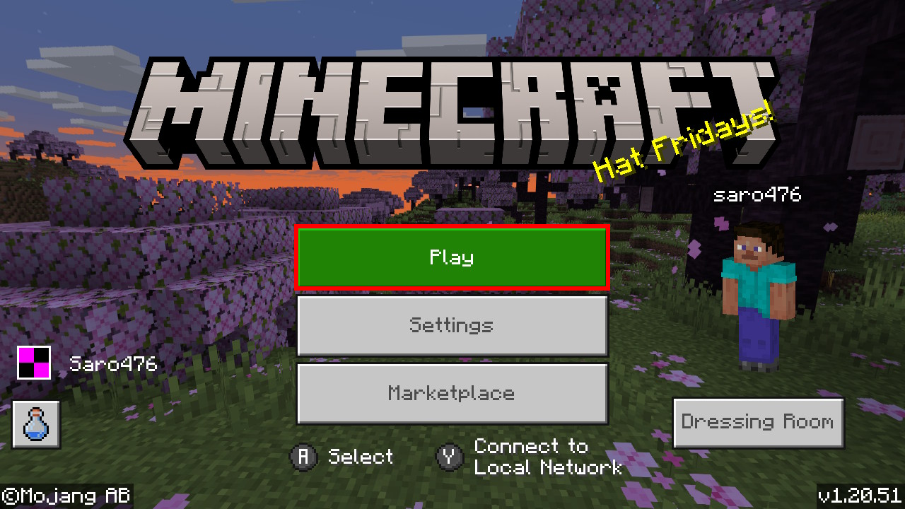 11_minecraft_home.png