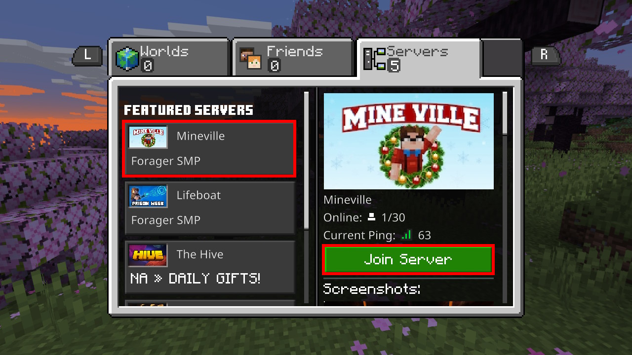 13_server_selection.png
